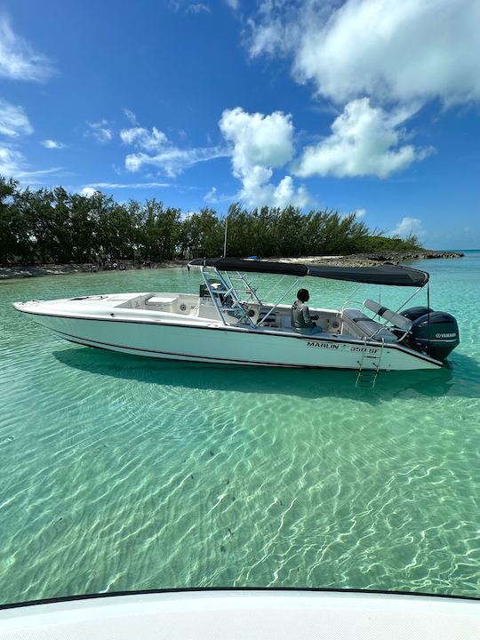 Marlin de 35 pés para mergulho fretado, porcos, tartarugas e muito mais em Nassau, Bahamas