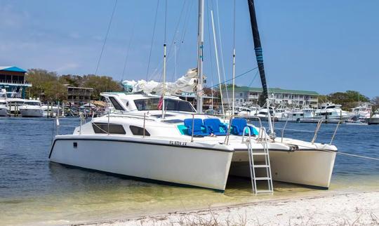 Charter privado de 4 horas em Destin, FL! Ilha do Caranguejo, mergulho com snorkel, golfinhos e muito mais!