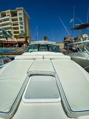 Bertram 42ft Yacht & Sportfishing Charter for 12 pax