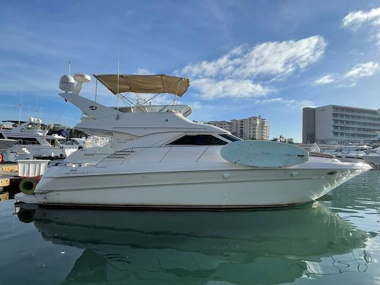 45 Sea Ray Flybridge disponibles à la location à Cabo San Lucas 