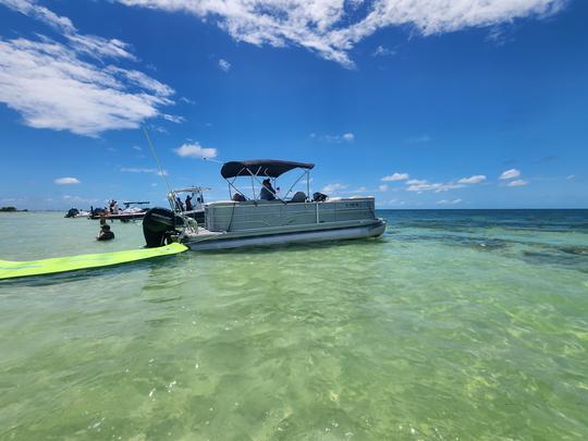 ponton de luxe de 25 pieds pour des excursions sur Sandbar, Dolphin et Sunset. Adapté aux chiens 