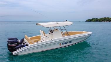 Rent a 29 ft. boat for 10 people in Baru, Cholon Cartagena 