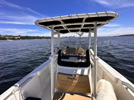 Barco de pesca com console central