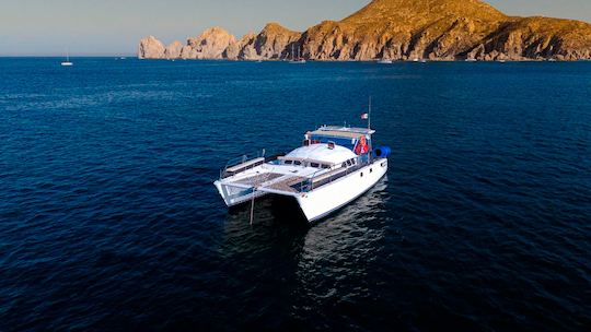 The best snorkeling adventure aboard a new Catamaran 42 ft in Los Cabos