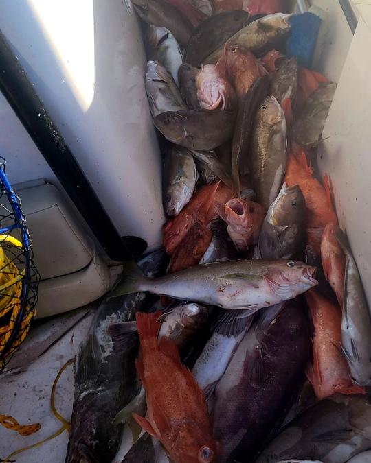 24 ft Center Console from San Pedro, Catalina, Santa Barbara, Channel Islands