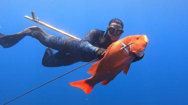 Alquiler de pesca submarina en Arrecif/Bluewater - Desde Playa Flamingo