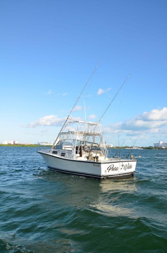 Carta de pesca de 31 pés em Cancún, Quintana Roo