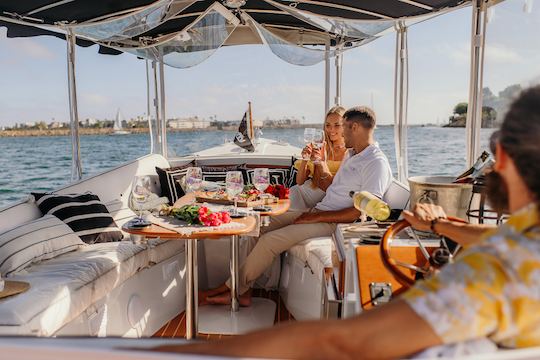 Barco eléctrico Duffy de lujo de 22 pies con capitán | Miami River, Miami, Bahía Biscayne