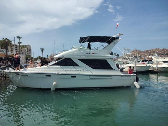 Yacht privé Bayliner de 42 pieds 15Px