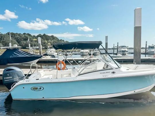 Super Clean/Like New 2018 21ft Sea Hunt-211 Escape