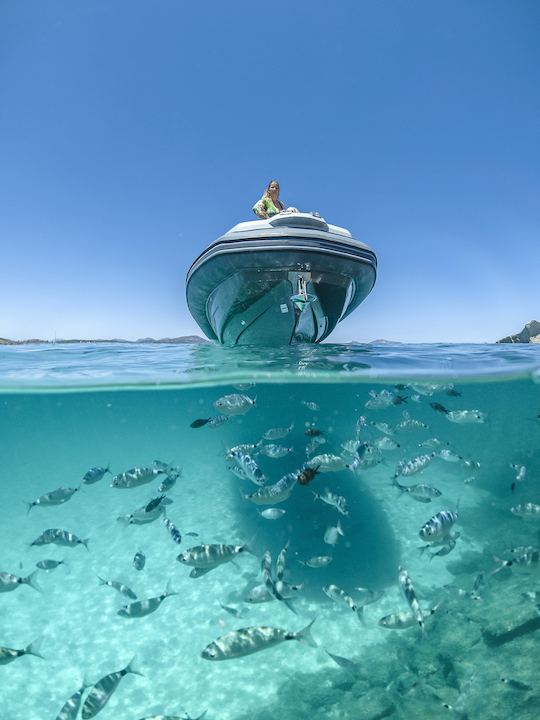 Passeio de barco: explore o fantástico Parque Marinho de Tavolara e Molara, Sardenha