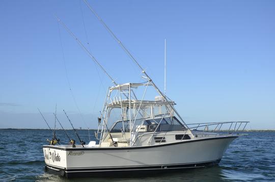 Carta de pesca de 31 pés em Cancún, Quintana Roo