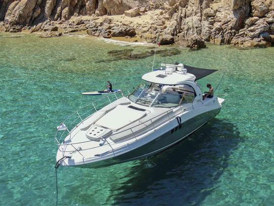 Yacht SeaRay 45ft Sundancer. All-inclusive