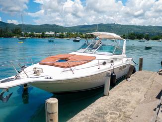 Profitez d'une croisière sur le littoral de Montego Bay à bord d'un yacht SeaRay de 30 pieds avec un punch au rhum à volonté