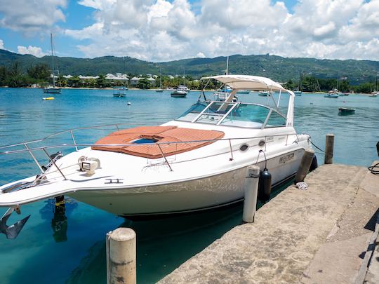 Disfrute de un crucero por la costa de Montego Bay en un yate SeaRay de 30 pies con ron ponche ilimitado