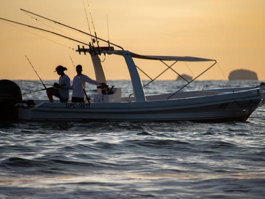 Chárter de pesca, esnórquel y divertidos recorridos al atardecer para la familia