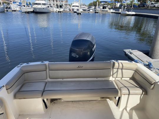 Barco Dorado Scout Bowrider em Tampa Bay (Ruskin)