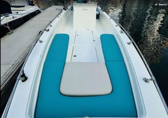 Bateau à moteur Blue Fin 32 pieds à Dubaï