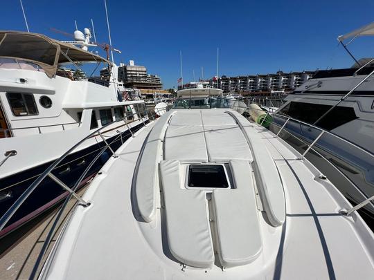 Beautiful Sea Ray 55 Motor Yacht In Puerto Vallarta