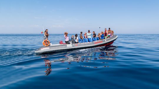 Delfines de Rib Boat y cuevas de Benagil - Ocean Destiny