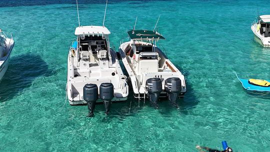 Visites privées et plongée avec tuba à la plage de Flamenco, à Culebra ou à l'île de Culebrita 