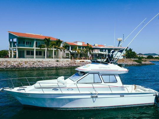 Mediterraneo 40ft Yacht & SportFish Charter in Mazatlan