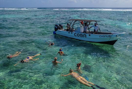 Center Console Boat Half Day Mexico Rocks Snorkeling Tour