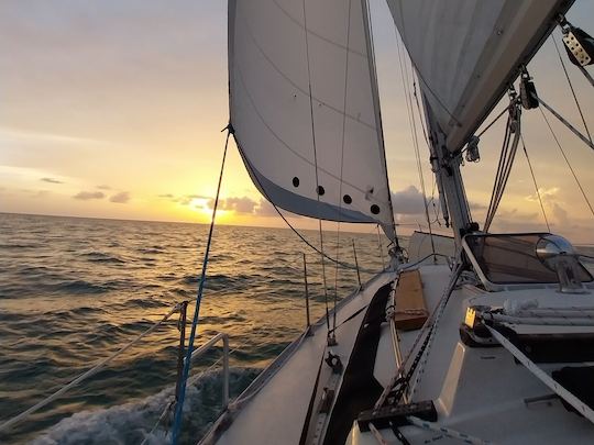 Sunset Sails : explorez les eaux libres de Tampa, en Floride