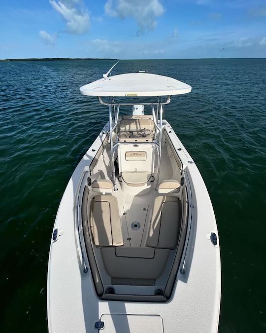 2022 Sea Chaser 22 HFC Rental in Tavernier, Florida