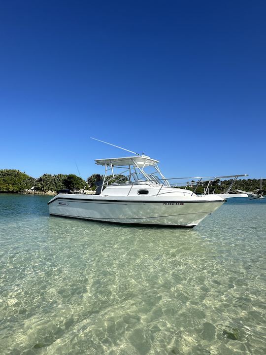 Boston Whaler 24’ Visit Icacos,Palomino,Isla Piñero (6 guest max)