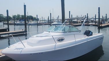 Versatile ProLine 22WA makes it easy to have a great time on the bay