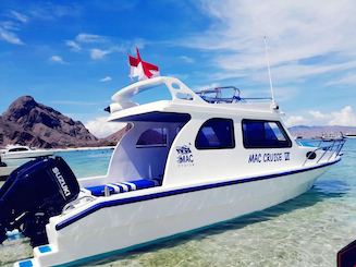 Full Day Trip by Speed Boat in the Komodo National Park