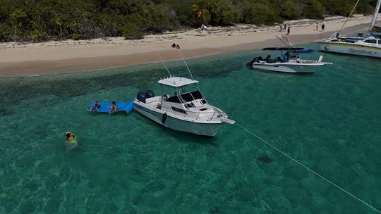 Visites privées et plongée avec tuba aux îles Icacos et Palomino - Grady White 27'