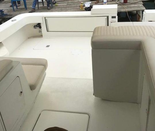 35' Sea Ray boat for rent in La Romana