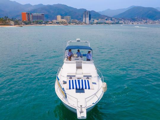 SEA LI-DER | Magical Mainship 42 ft Yacht for Cruising and Sportfishing at PV