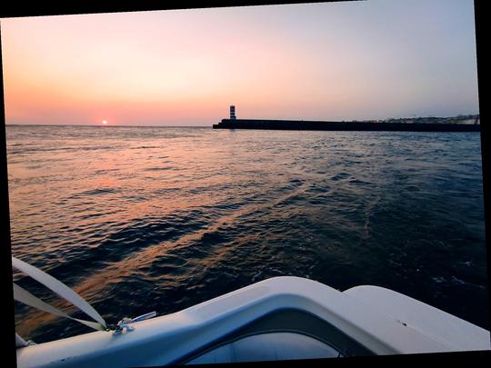 Visite privée des 6 ponts et du Douro, option coucher de soleil de 2h, prix de groupe jusqu'à 6 personnes