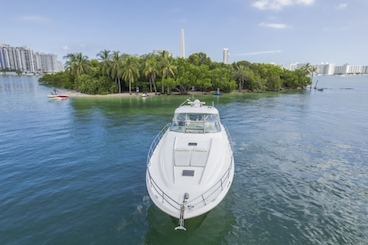 Yacht privé Sea Ray de 60 pieds ! Bénéficiez d'une heure gratuite du lundi au jeudi, 13 passagers maximum