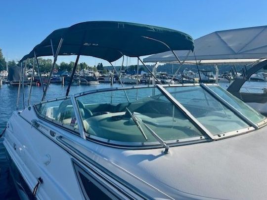 Cruise and Play on Lake Washington with Chaparral Signature 260 