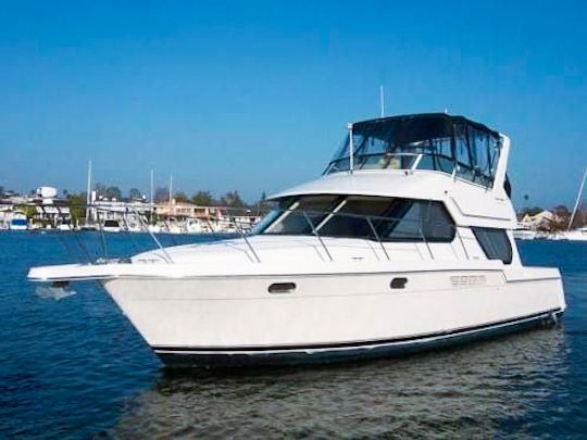 Yate Flybridge Lux de 44 pies en el centro de Toronto