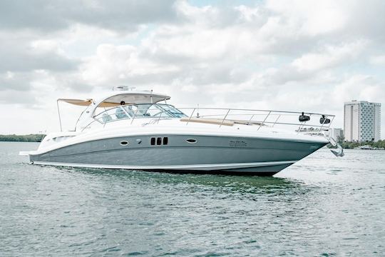 45' Sea Ray for up to 12 guest!