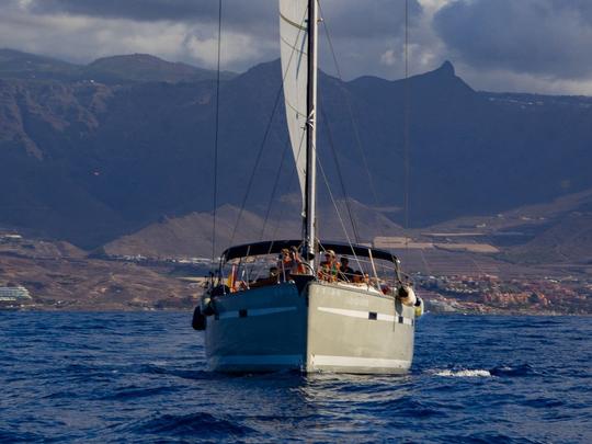 Velero de lujo Bavaria 55 Cruiser