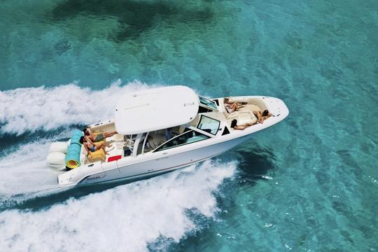 ¡Disfruta de este agradable Boston Whaler 320 Vantage de 32 pulgadas por un día!