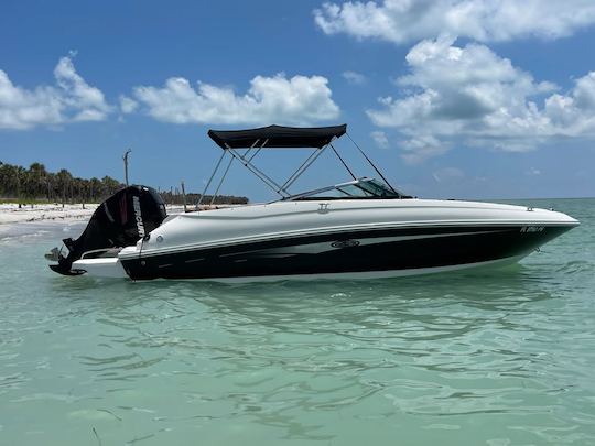 24 ft. Sea Ray Bowrider - Gliding through the Bay in style!