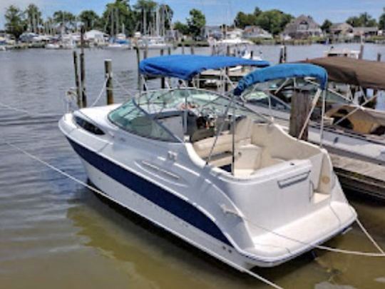 24ft Bayliner Cruiser | Ideal for 7 Guests