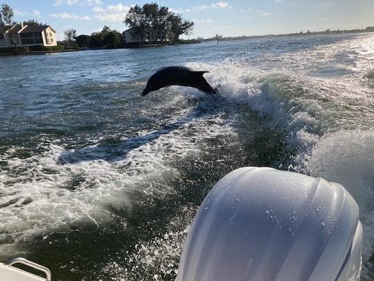 Sarasota Coastal Boat Tours en un nuevo Seahunt Ultra 2024