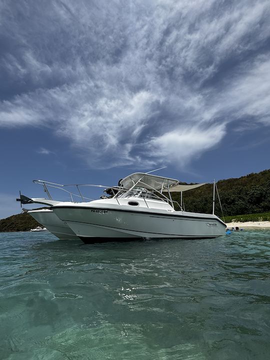 Boston Whaler 24’ Visit Icacos,Palomino,Isla Piñero (6 guest max)