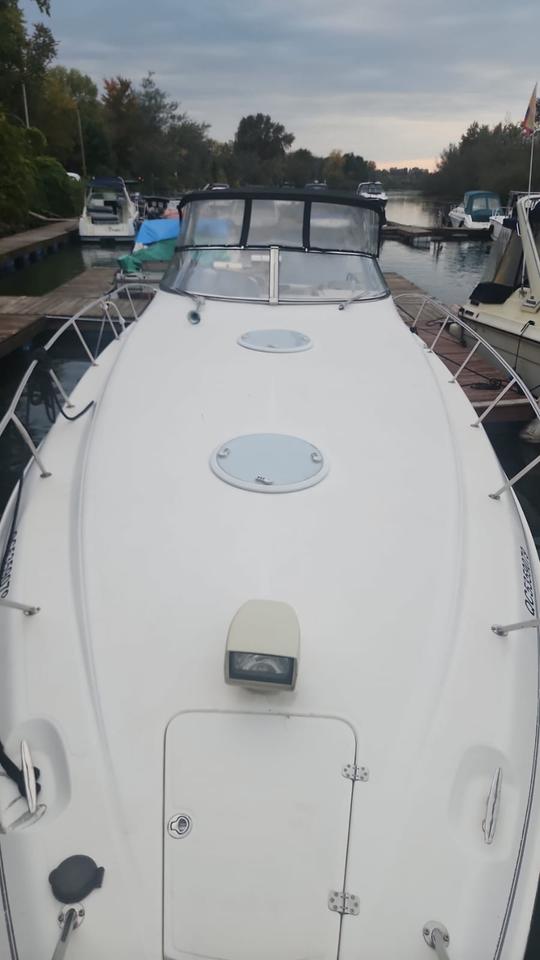 Barco de lujo Wellcraft 40"