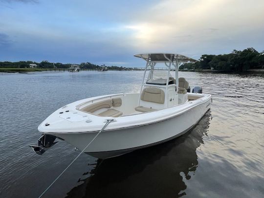 Lowcountry Harbor Cruises and Excursions with 25' Nauticstar Center Console