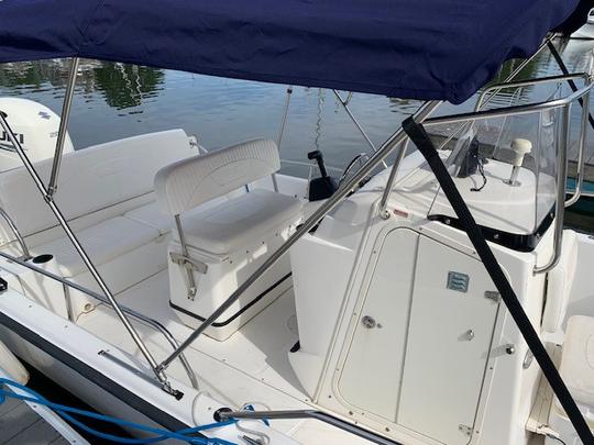 Aluguel de meio dia | Dauntless Boston Whaler de 22 pés em Hyannis Harbor, Massachusetts - Cape Cod