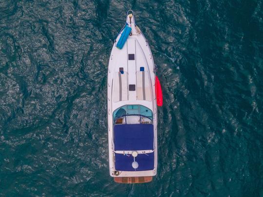 AH CARAY | Le magnifique yacht Sea Ray de 42 pieds pour une croisière d'une journée en PV.